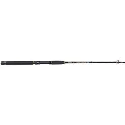 Shimano Beastmaster Spinning Rod