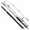Daiwa 20 TD Saltwater Spinning Rod